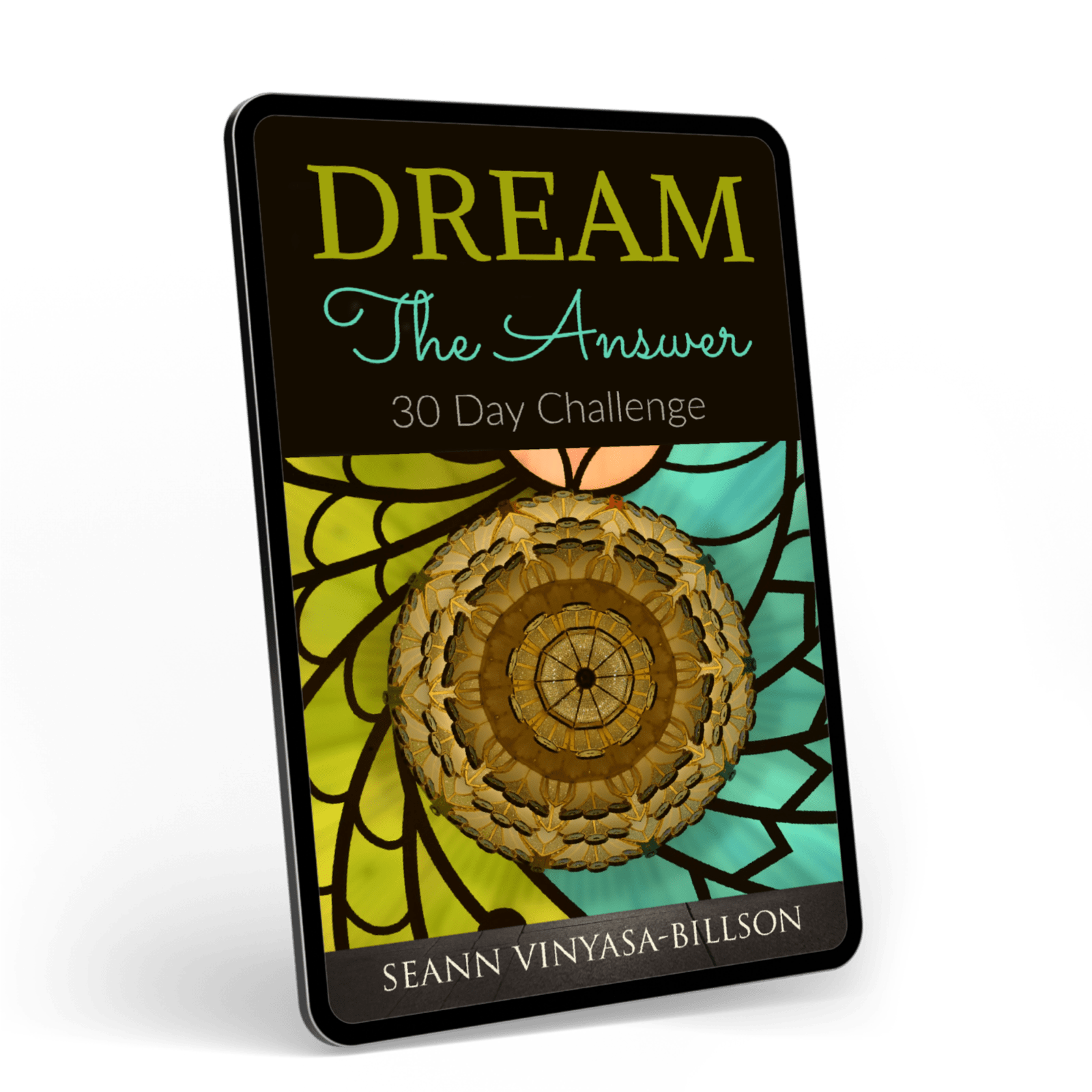 Dream the Answer Challenge ebook 